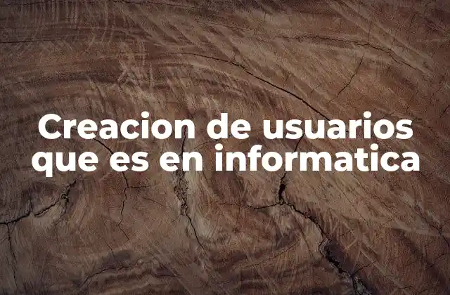 Creacion de Usuarios que es en Informatica