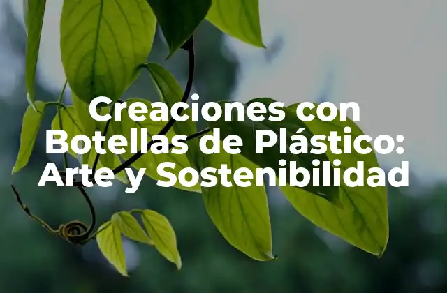 ¿Qué son las Creaciones con Botellas de Plástico?