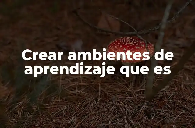 Crear Ambientes de Aprendizaje que es
