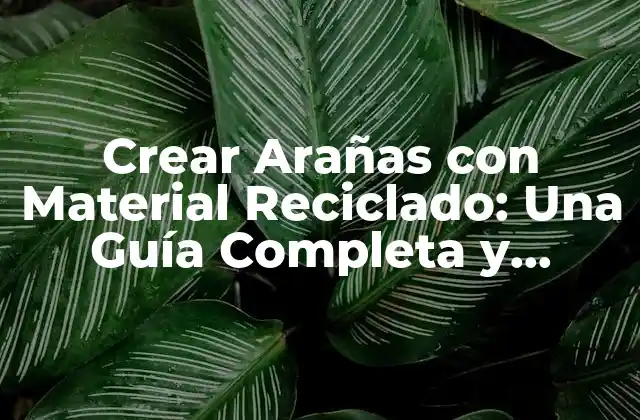 Crear Arañas con Material Reciclado: una Guía Completa y Creativa