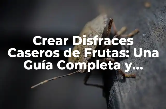 ¿Por qué Crear Disfraces Caseros de Frutas?