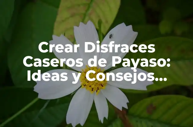 Crear Disfraces Caseros de Payaso: Ideas y Consejos Prácticos