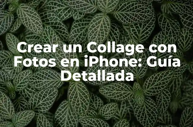 Crear un Collage con Fotos en Iphone: Guía Detallada