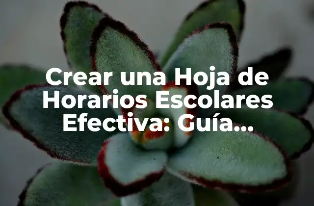 Crear una Hoja de Horarios Escolares Efectiva: Guía Completa