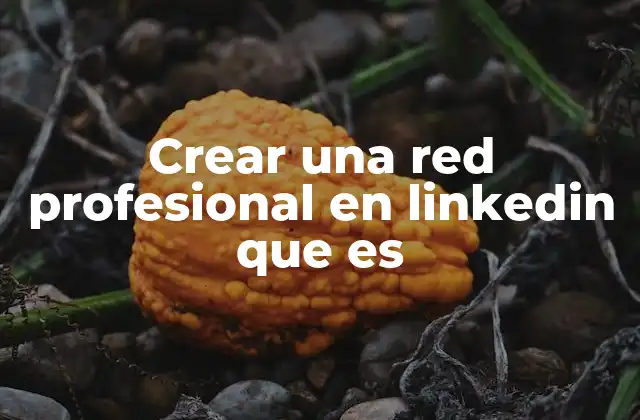 El poder de la red profesional en el entorno digital
