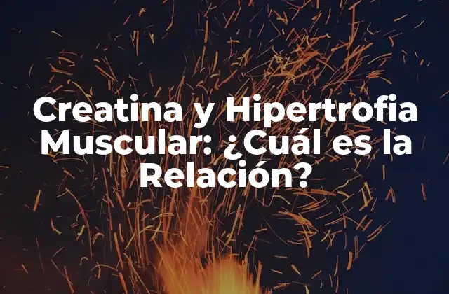 Creatina y Hipertrofia Muscular: ¿cuál es la Relación?