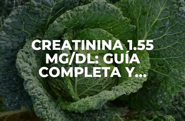 Creatinina 1.55 Mg/dl: Guía Completa y Detallada