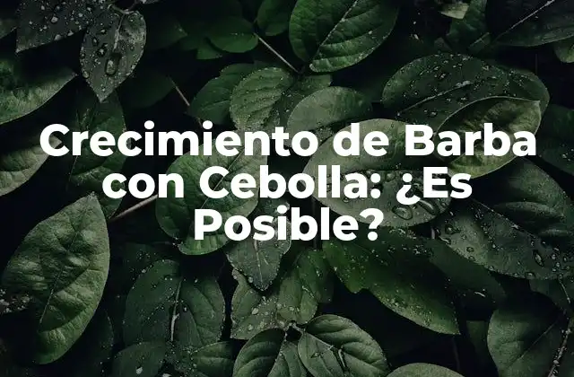 Crecimiento de Barba con Cebolla: ¿es Posible?