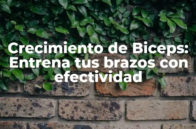 Crecimiento de Biceps: Entrena Tus Brazos con Efectividad 2 Anatomía de los Biceps