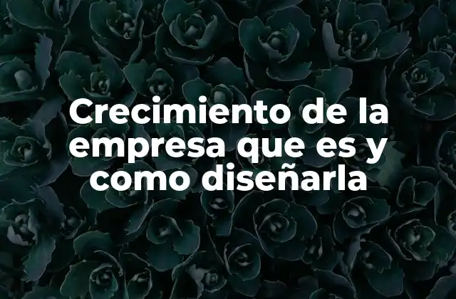 Crecimiento de la Empresa que es y como Diseñarla