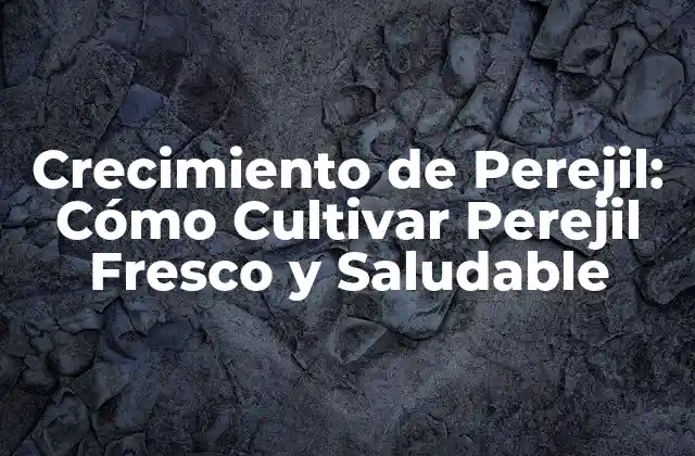 Crecimiento de Perejil: Cómo Cultivar Perejil Fresco y Saludable