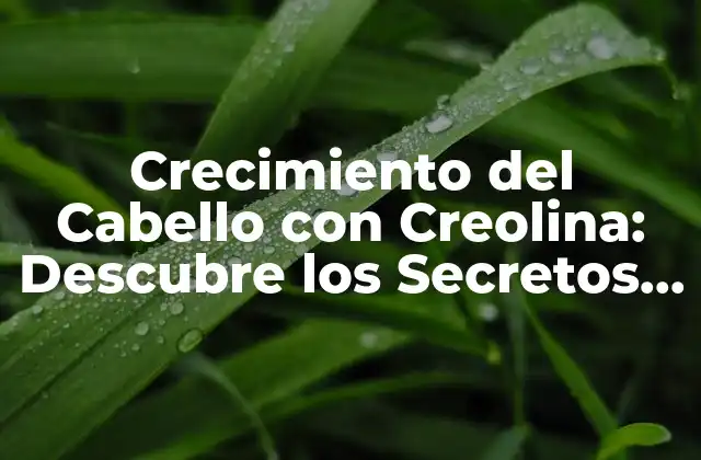Crecimiento Del Cabello con Creolina: Descubre los Secretos para un Cabello Largo y Fuerte