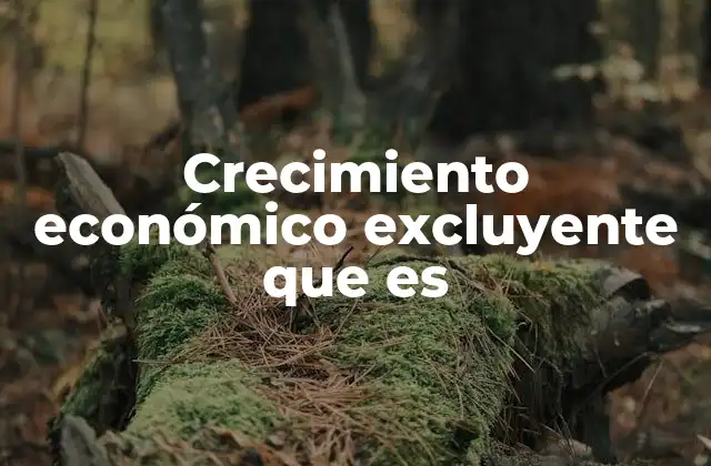 Crecimiento Económico Excluyente que es