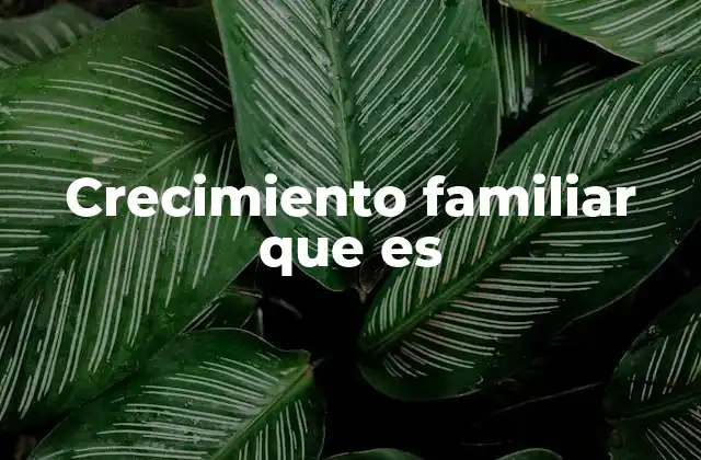 Crecimiento Familiar que es 2 El desarrollo de una familia a lo largo del tiempo
