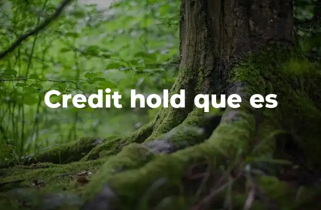 Credit Hold que es