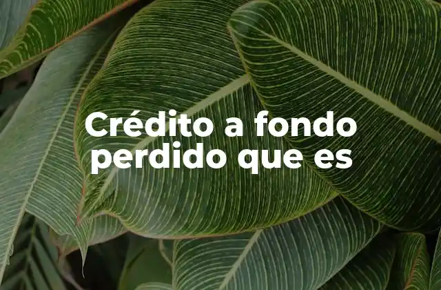 Características esenciales del crédito a fondo perdido