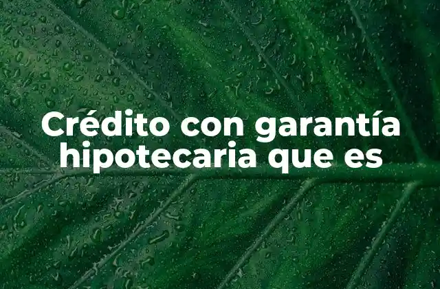 Cómo funciona un préstamo con garantía inmobiliaria