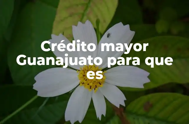 Crédito Mayor Guanajuato para que es