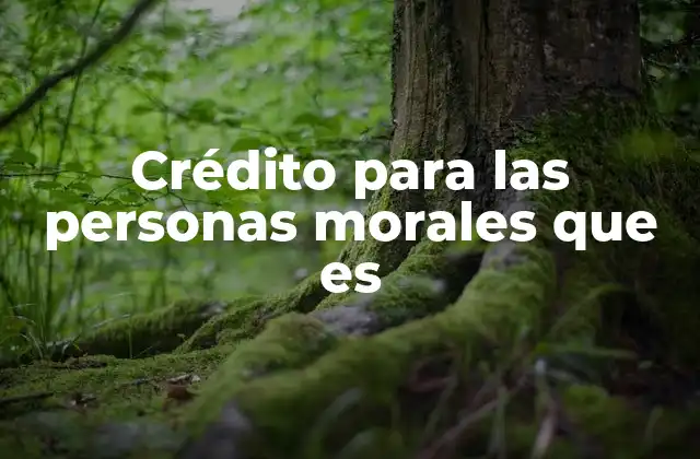 Crédito para las Personas Morales que es