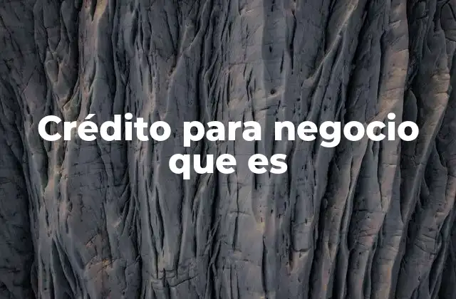 Crédito para Negocio que es