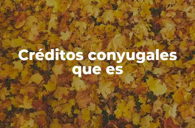 Cómo funcionan los créditos conyugales