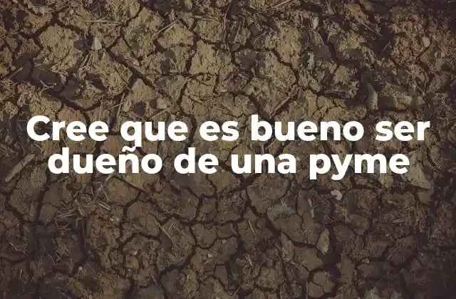 Cree que es Bueno Ser Dueño de una Pyme