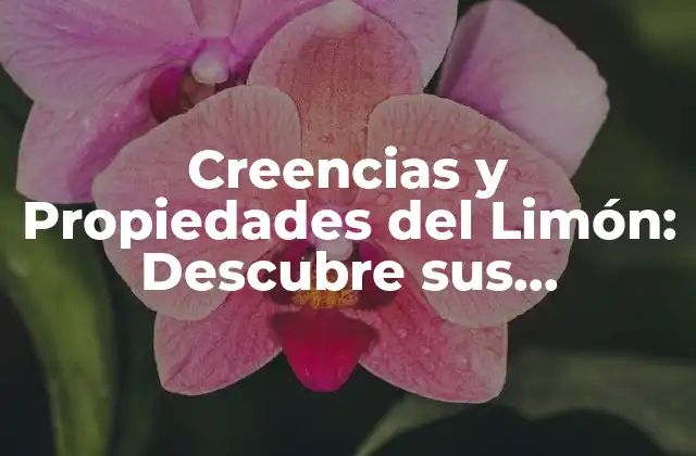 Creencias y Propiedades Del Limón: Descubre Sus Beneficios 2 Orígenes y Significado Espiritual del Limón