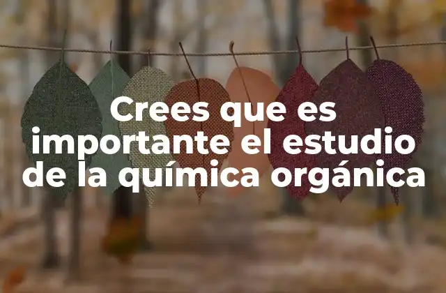 Crees que es Importante el Estudio de la Química Orgánica