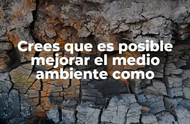 Crees que es Posible Mejorar el Medio Ambiente como