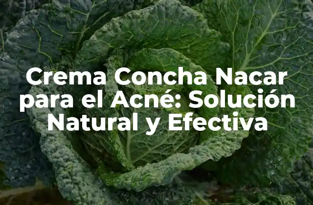 Crema Concha Nacar para el Acné: Solución Natural y Efectiva