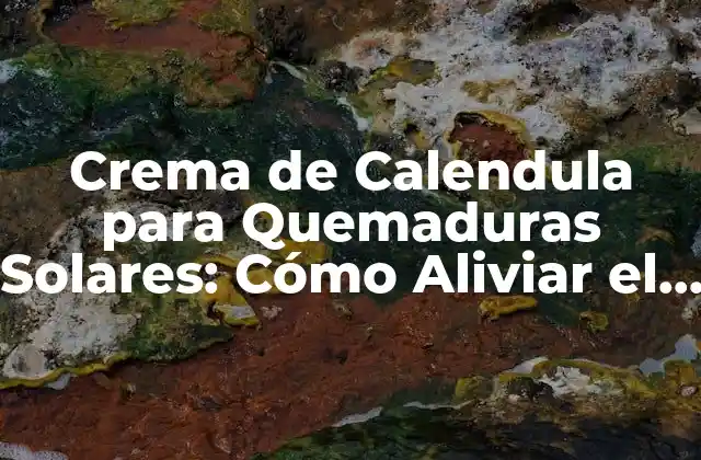 Crema de Calendula para Quemaduras Solares: Cómo Aliviar el Dolor y la Inflamación