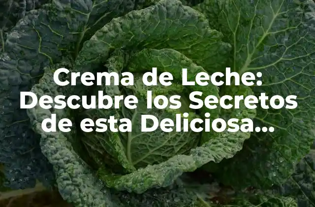 Crema de Leche: Descubre los Secretos de Esta Deliciosa Creación