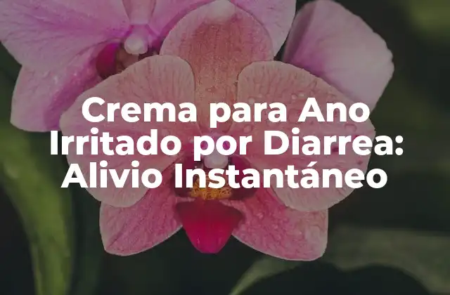 Crema para Ano Irritado por Diarrea: Alivio Instantáneo