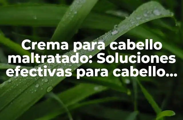 Crema para Cabello Maltratado: Soluciones Efectivas para Cabello Dañado