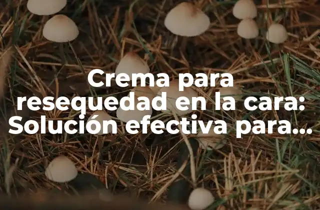 Crema para Resequedad en la Cara: Solución Efectiva para una Piel Saludable