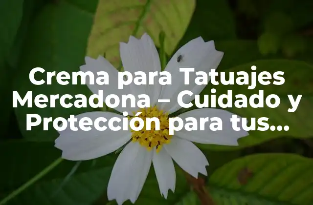Crema para Tatuajes Mercadona – Cuidado y Protección para Tus Tatuajes
