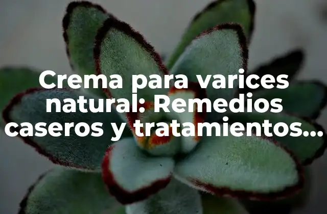 Crema para Varices Natural: Remedios Caseros y Tratamientos Efectivos