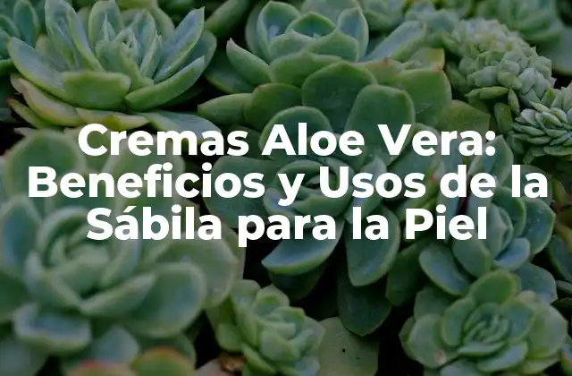 Cremas Aloe Vera: Beneficios y Usos de la Sábila para la Piel