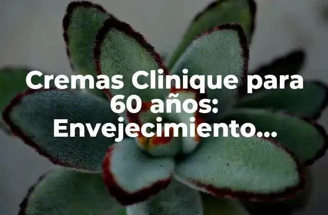 Cremas Clinique para 60 Años: Envejecimiento Saludable y Belleza