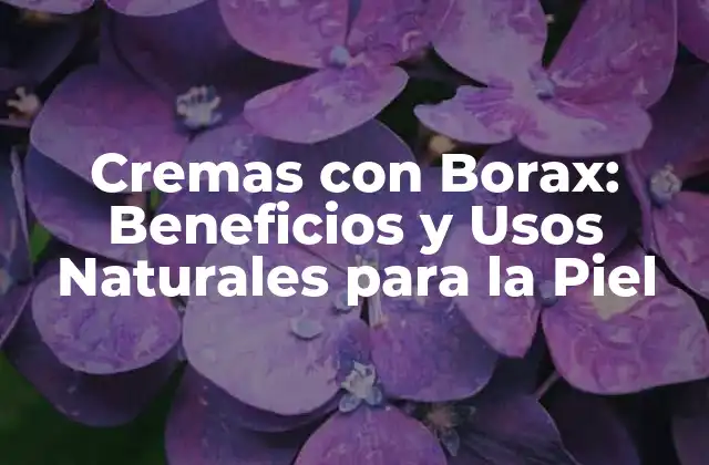Cremas con Borax: Beneficios y Usos Naturales para la Piel