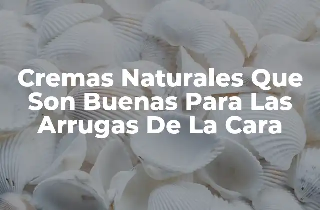Cremas Naturales que Son Buenas para las Arrugas de la Cara