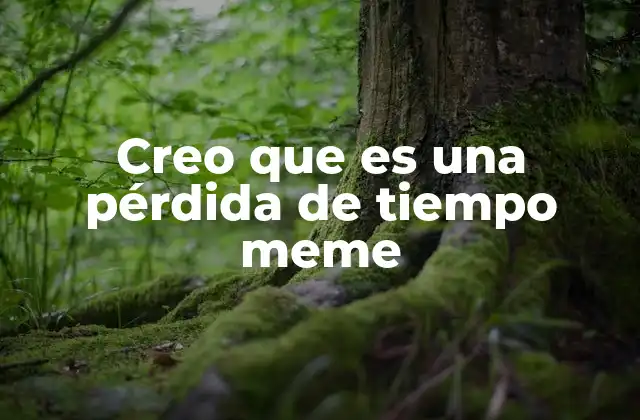 Creo que es una Pérdida de Tiempo Meme