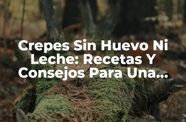 Crepes sin Huevo ni Leche: Recetas y Consejos para una Delicia sin Límites