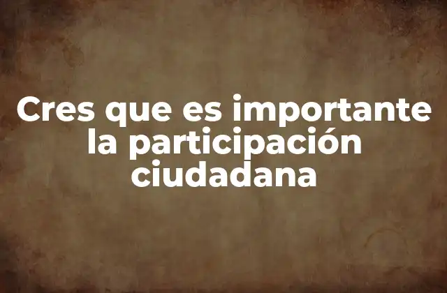 Cres que es Importante la Participación Ciudadana