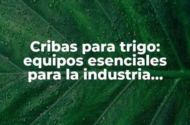 Cribas para Trigo: Equipos Esenciales para la Industria Agrícola