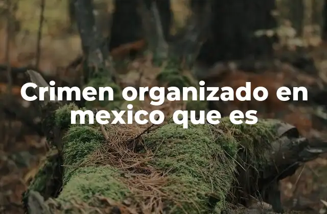 Crimen Organizado en Mexico que es