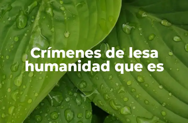 Crímenes de Lesa Humanidad que es