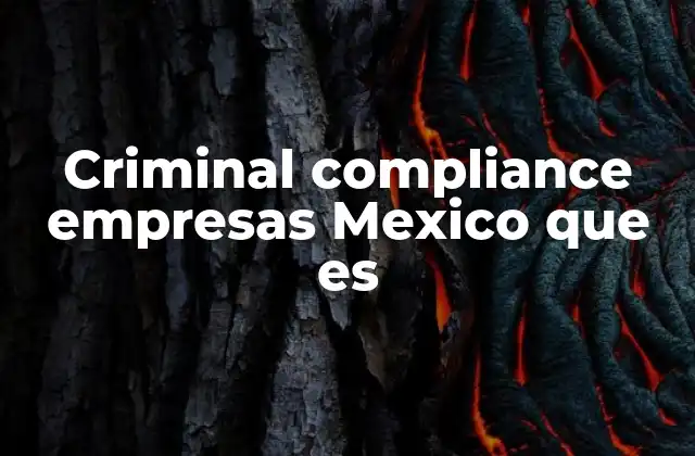 Criminal Compliance Empresas Mexico que es 2 La importancia del cumplimiento penal en el entorno empresarial