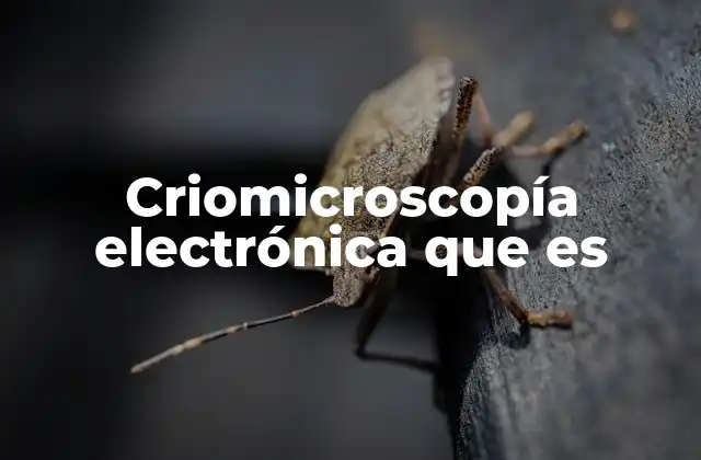 Criomicroscopía Electrónica que es