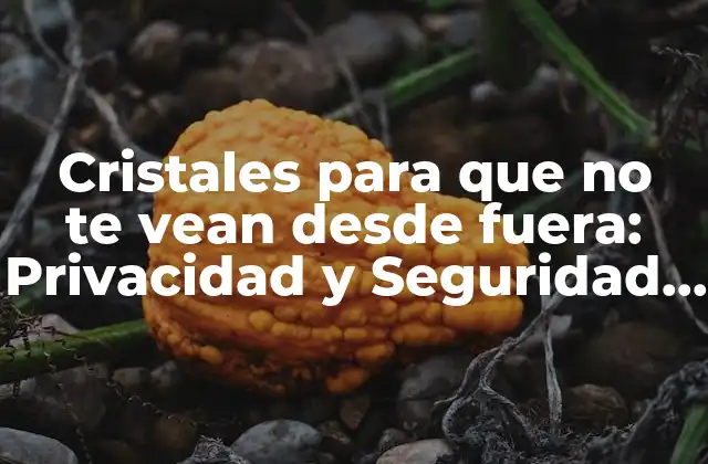 Cristales para que No Te Vean desde Fuera: Privacidad y Seguridad para Tus Ventanas